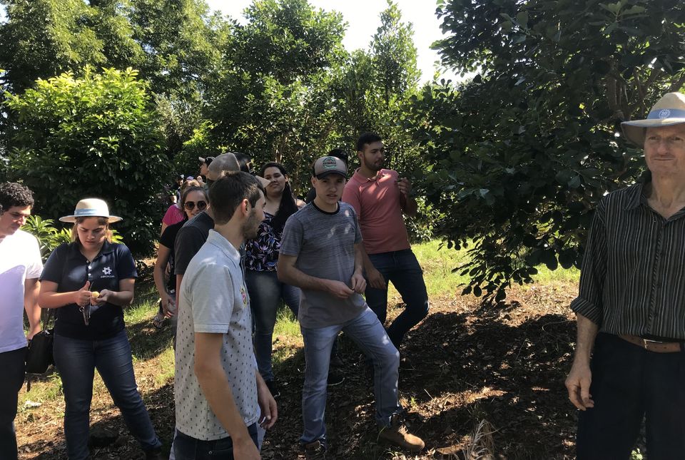 Aprender na prática