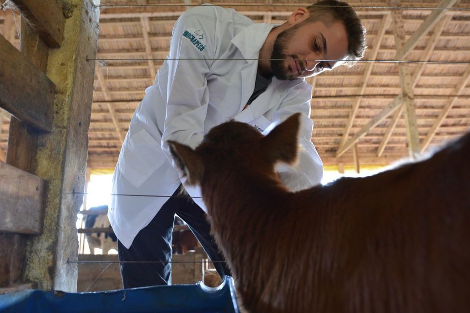 Atividades práticas