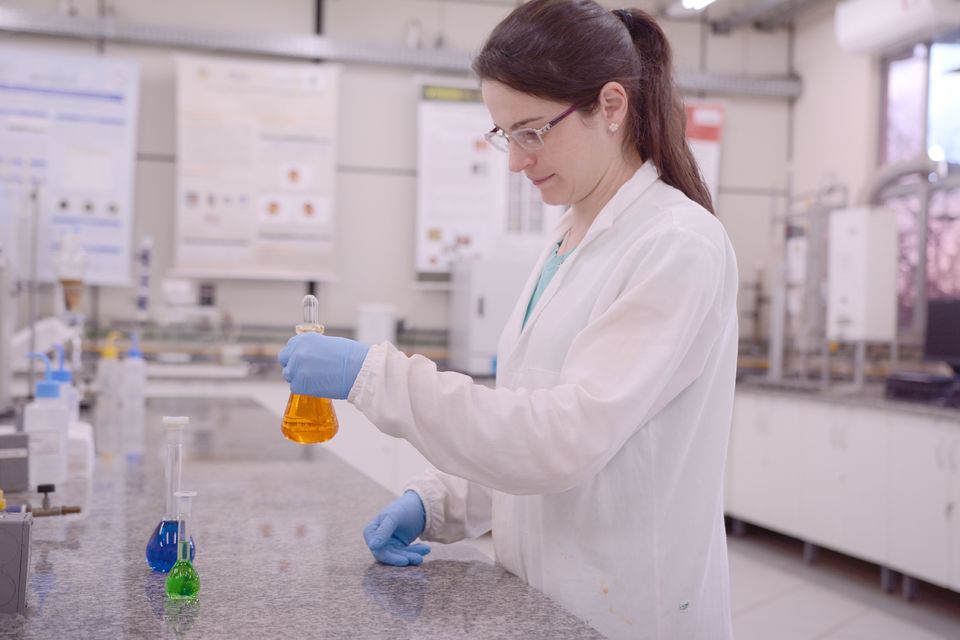 Caminho da revolução