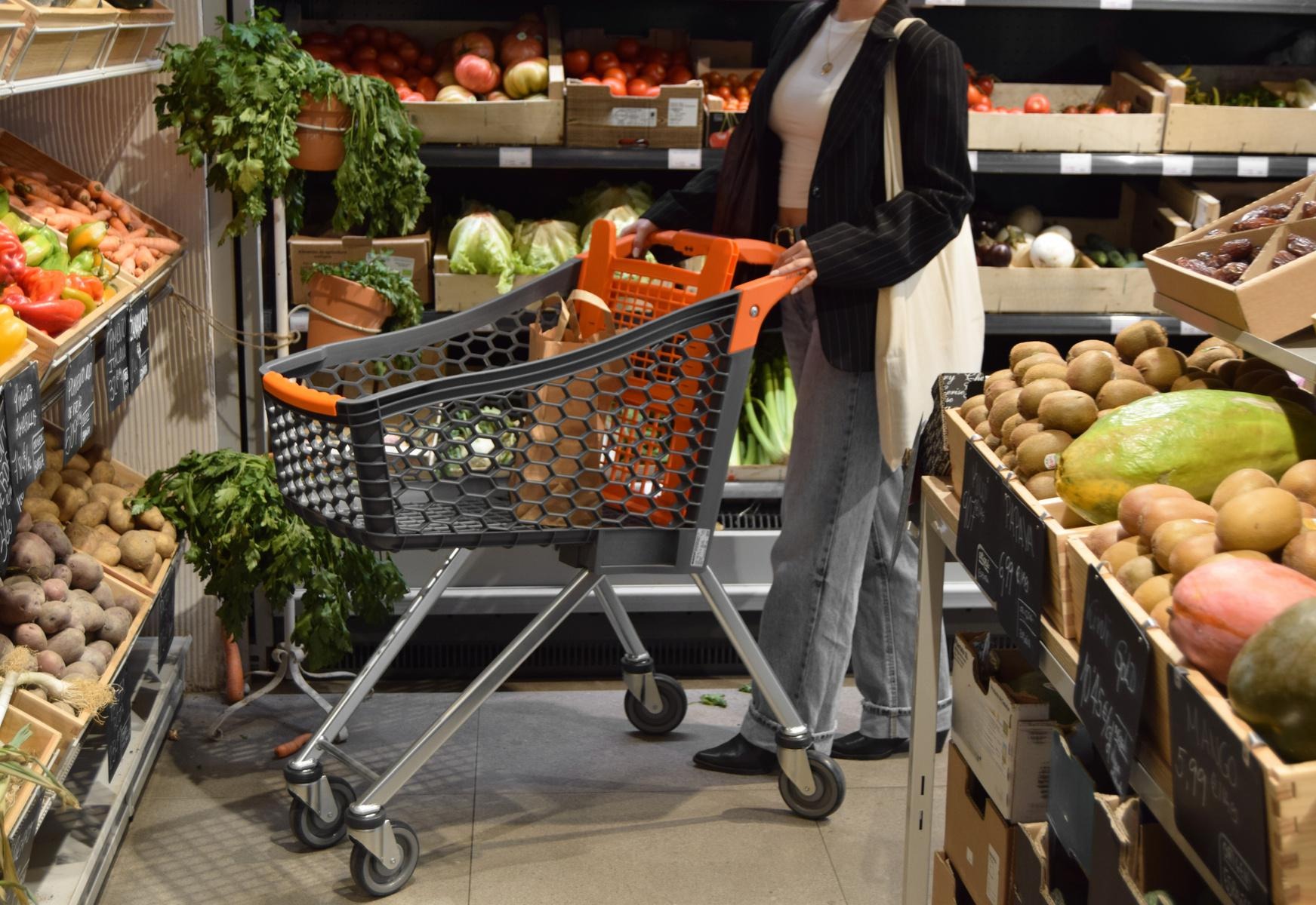 Cesto Básico em Foco