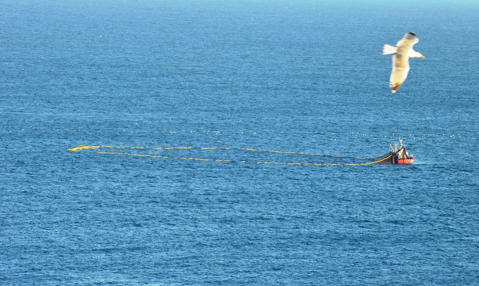 Chimarrão e Ciência