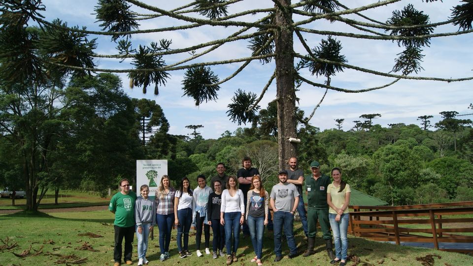 Ciências ambientais