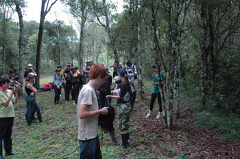 Curso de Ciências Biológicas promove observação de aves