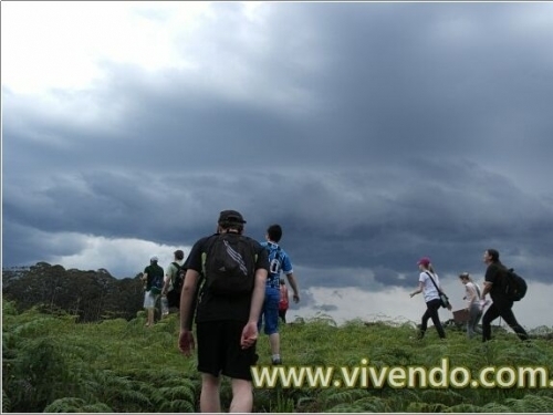 Desenvolvimento de Atividade Comportamental - DAC II