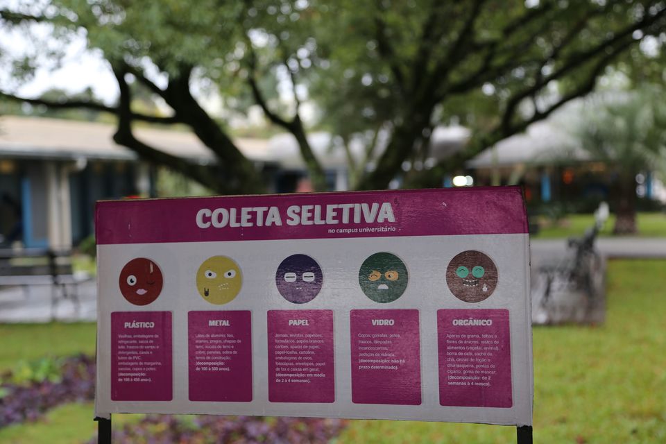 Dia do Meio Ambiente