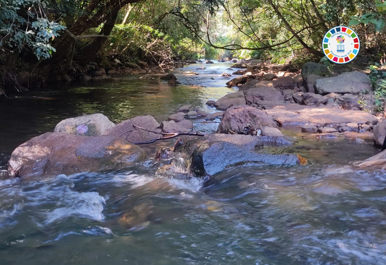 Dia Mundial da Água