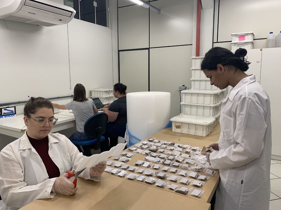 Estímulo à cultura