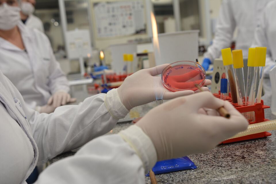 Mestrado e Doutorado