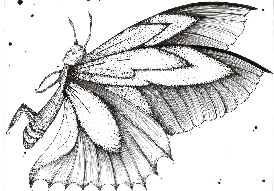 Pelos Olhos da Folha