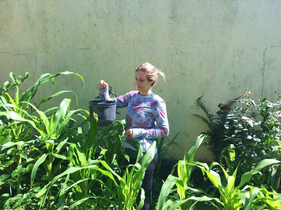 Pesquisa e inovação