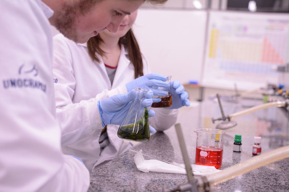 Pioneiros na região