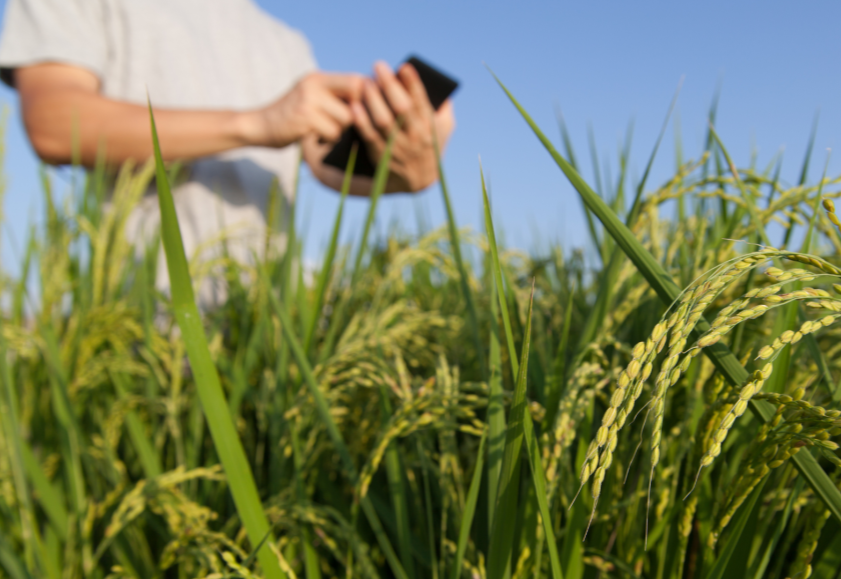 PPGTI, Crédito rural