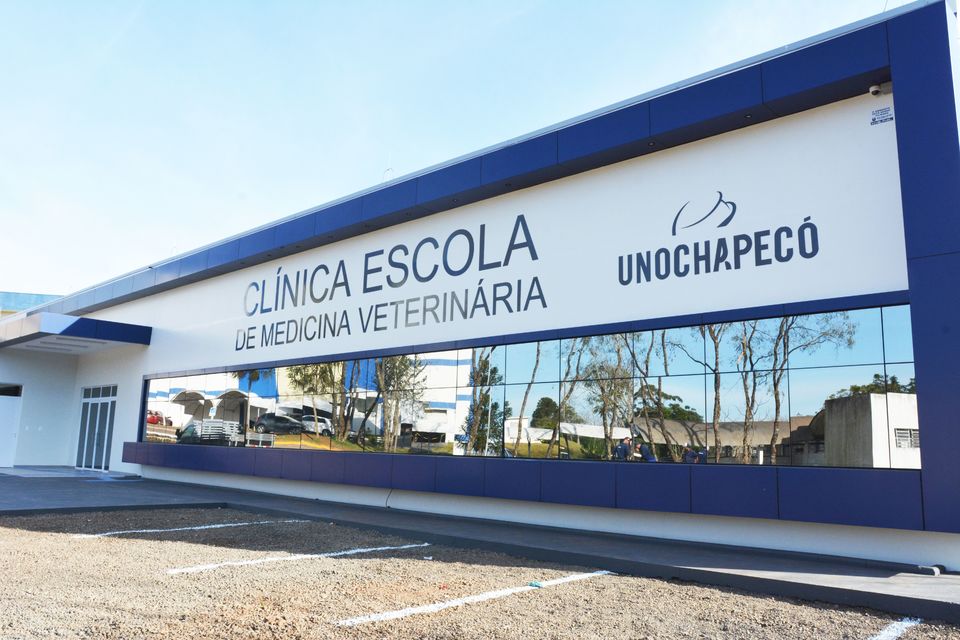 Primeira de Chapecó