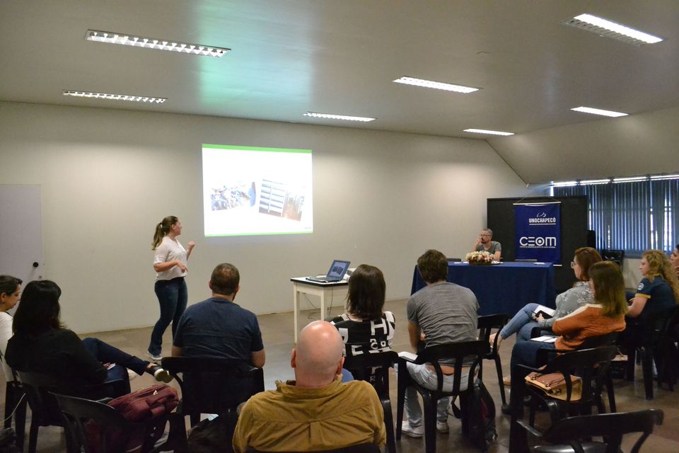 Programação especial