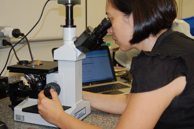 Projeto identifica ocupações pré-históricas na região da Mata Atlântica