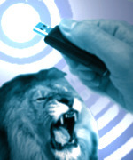 Receita Federal libera download de programas para declaração do Imposto de Renda