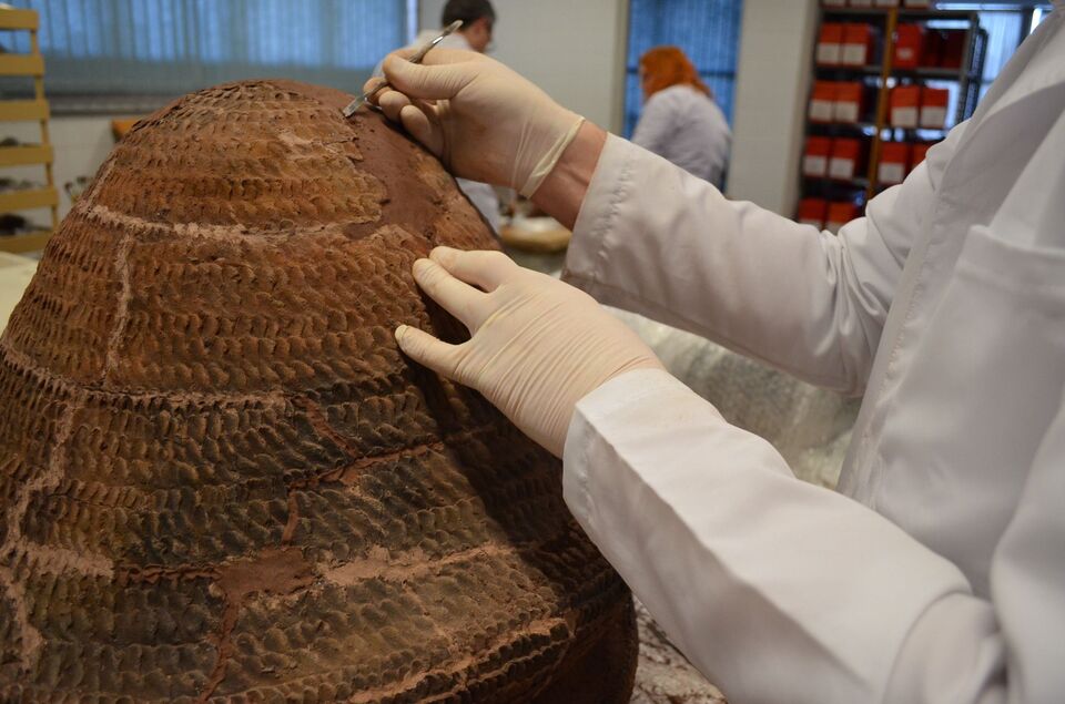 Trajetória cultural