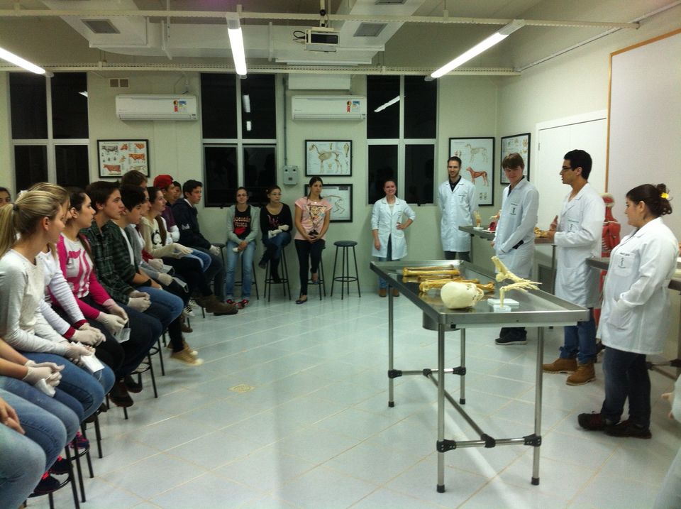 Troca de experiência