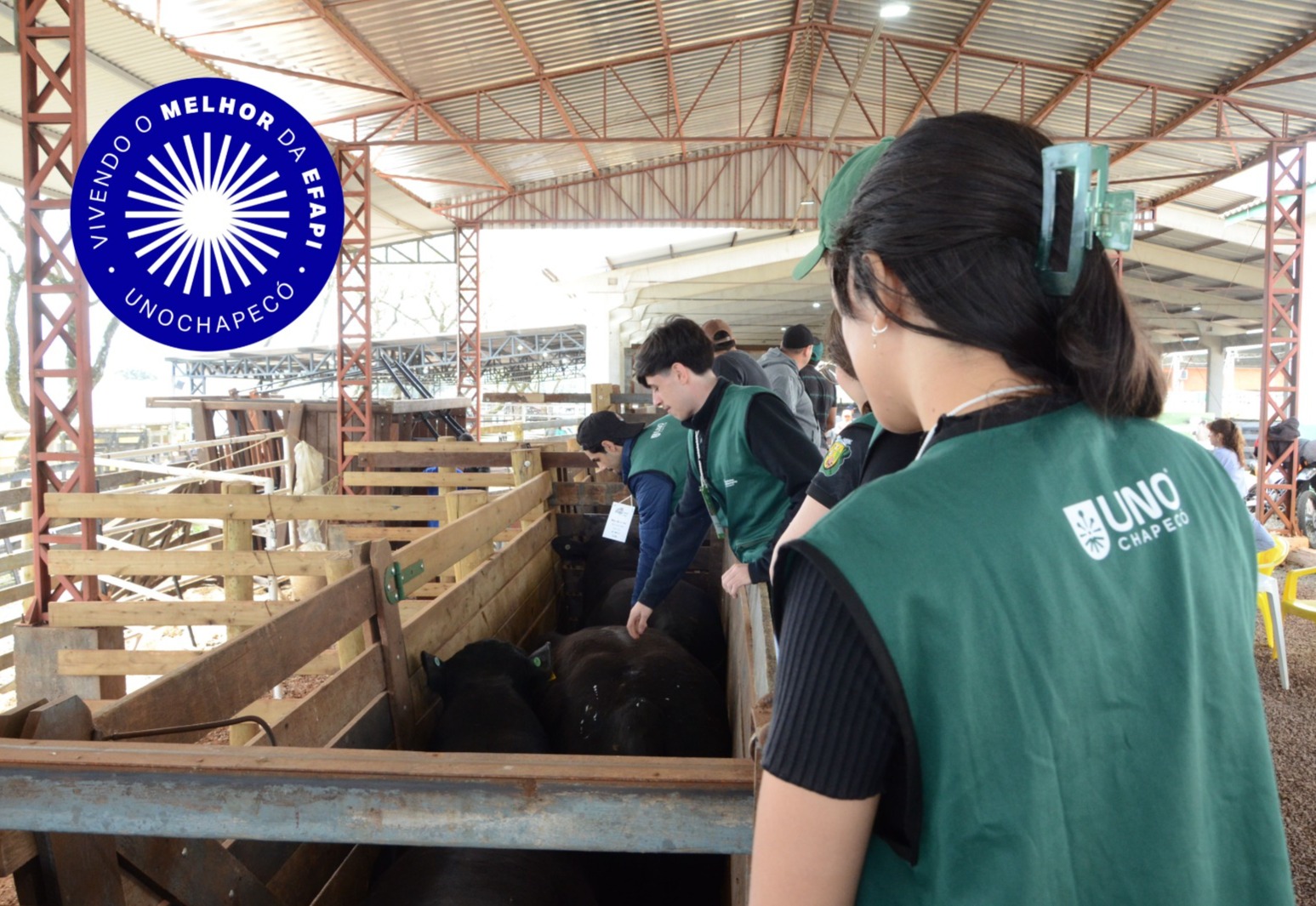 Uno Vivendo Efapi#22