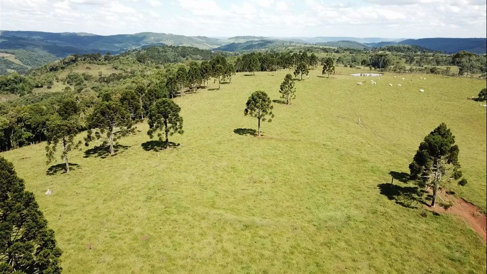 Vestígios do passado