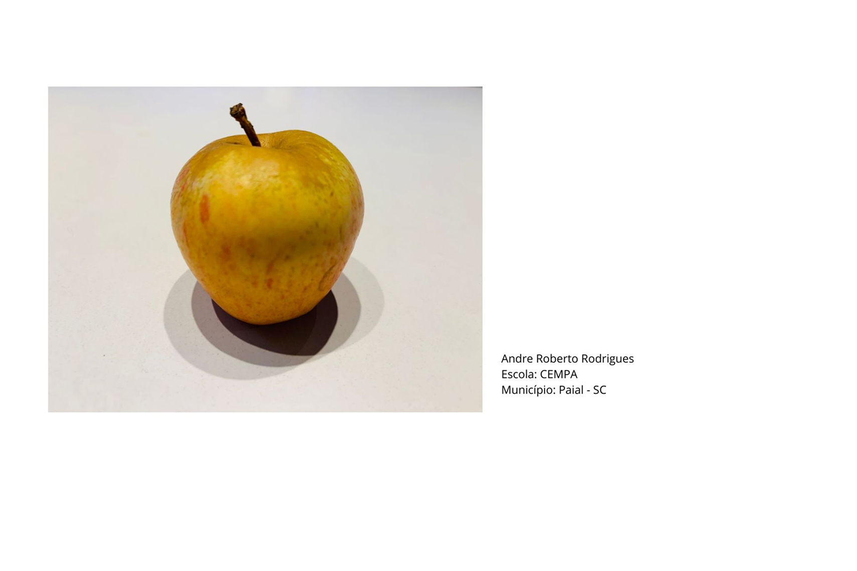 Miniatura da galeria de imagens