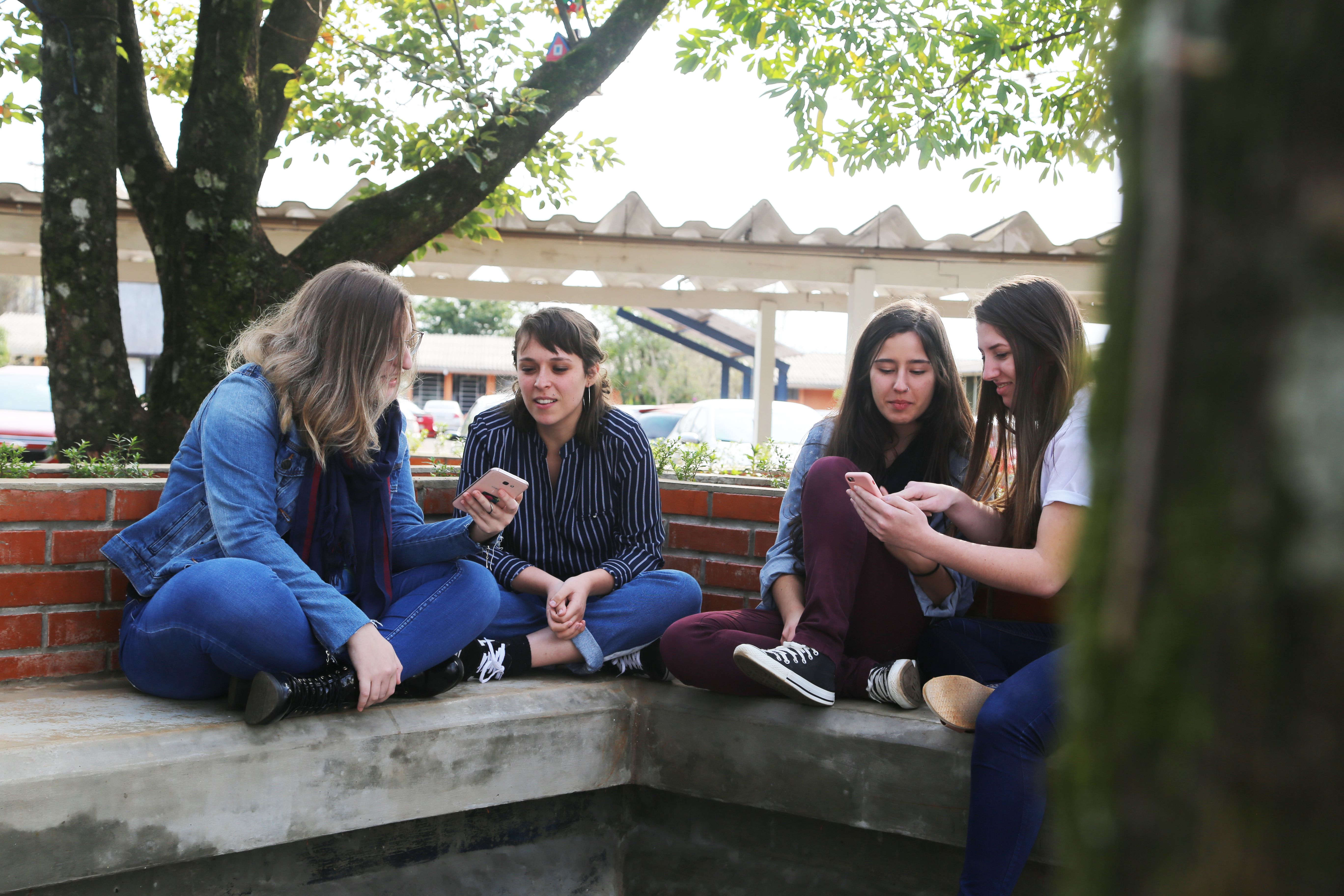 Unochapecó busca uma revolução sustentável, humana e tecnológica sefse